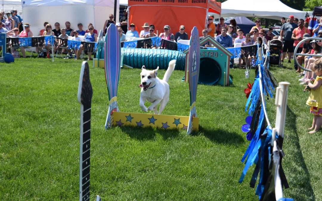 BringFido.com – Can’t-Miss Dog-Friendly Events in May
