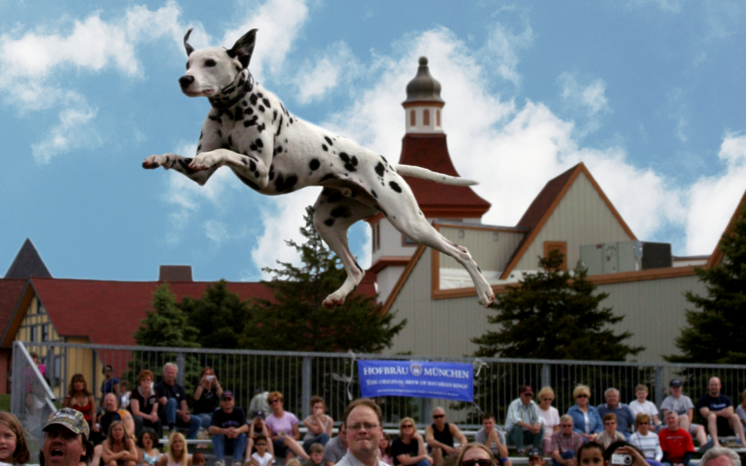 Forbes.com – Top Pet-Friendly Festivals In North America