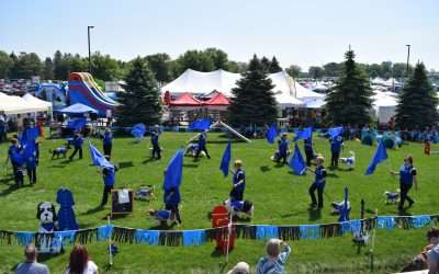 Holland Sentinel – Dog Bowl brings variety of activities to Frankenmuth for Memorial Day weekend